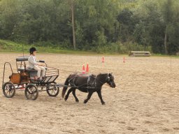 img_9503_web